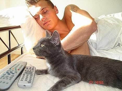 Huskat - Bella - forsvundet :-( - Ja nu er det altså mig der ser fjernsyn billede 5