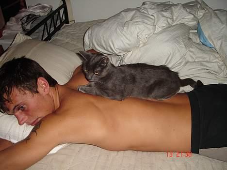 Huskat - Bella - forsvundet :-( - Har lige nedlagt et stort bytte billede 10