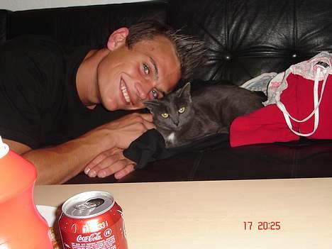 Huskat - Bella - forsvundet :-( - se hvor glade de er for mig billede 11