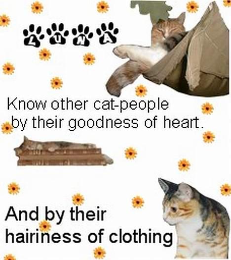 Blanding af racer Luna *Død* - Lavet af Christina! HE he  billede 12