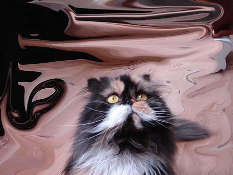 Perser Emma *Død* - Kreativt Emma billede billede 19