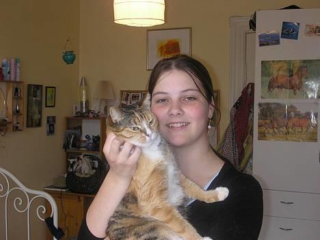 Blanding af racer Luna *Død* - Min øjesten og jeg er meget glade for hinanden :D billede 14