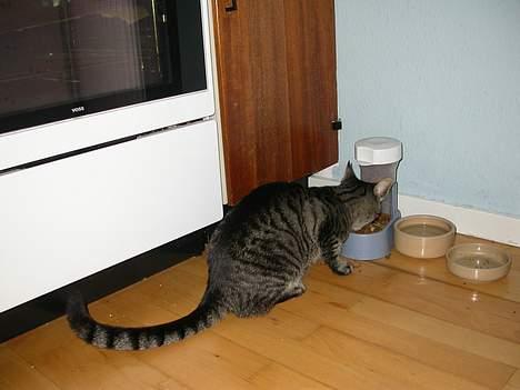 Blanding af racer Mads - får mig lige lidt mad.. billede 3