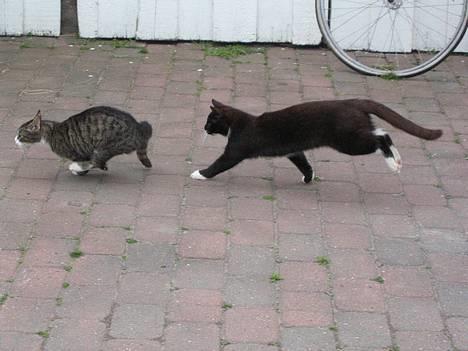 Huskat Bamse  - Mig og moster Ticci =P billede 8