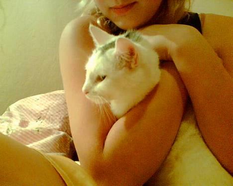 Blanding af racer Miss K - kig så på fotografen, lille skat! billede 6