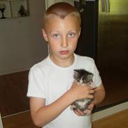 Blanding af racer Laban