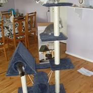 Blanding af racer Laban