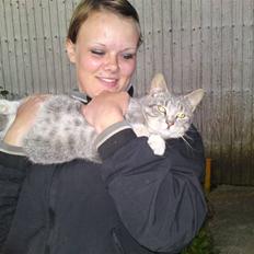 Huskat Mickey (VÆK)