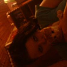 Huskat bøllemis(død)