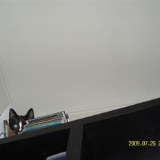 Blanding af racer Robin *Min Mors Mis*