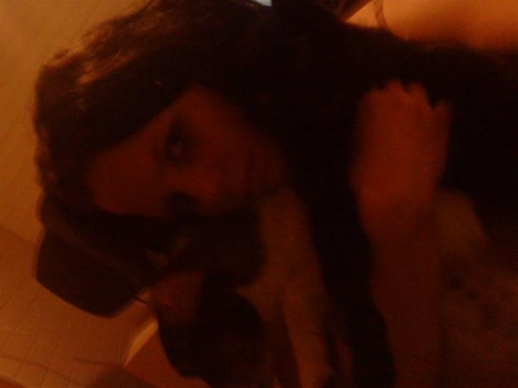 Huskat simba(død) - miig og 2 dejlige billede 2