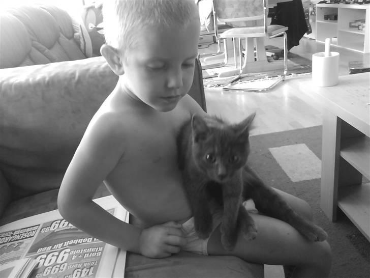 Huskat Bølle ( Død )  billede 9