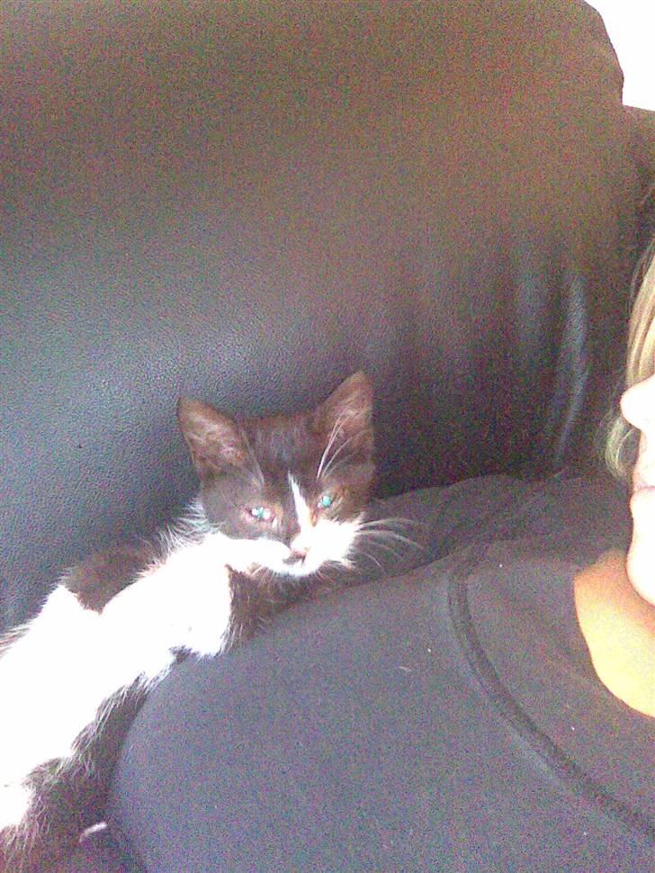 Huskat Nella billede 1