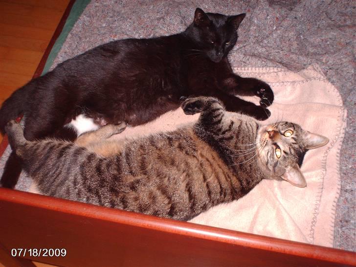 Huskat pelle - min dejlig mor.  billede 20