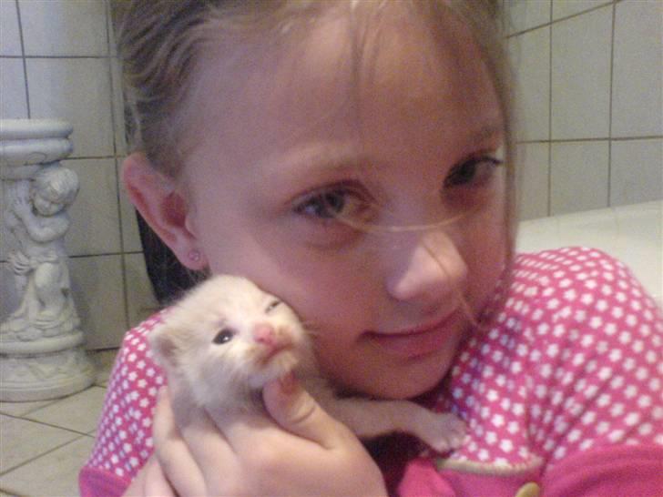 Blanding af racer Mathilde R.I.P. billede 10