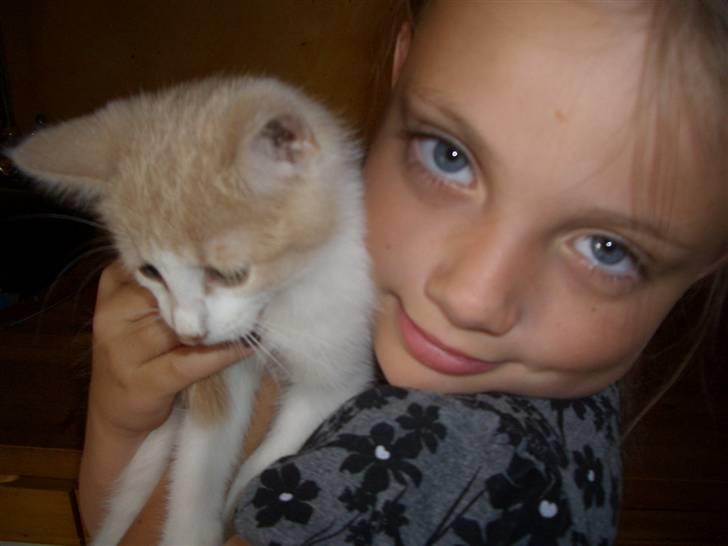 Blanding af racer Mathilde R.I.P. billede 12