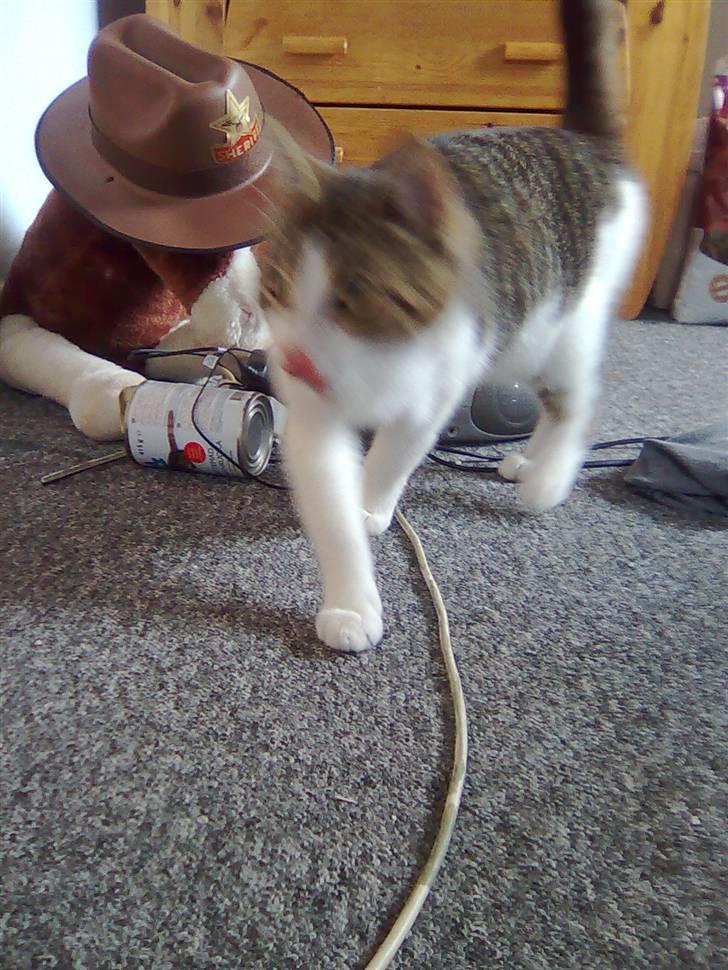 Huskat Jozz - nååårh der er den billede 3