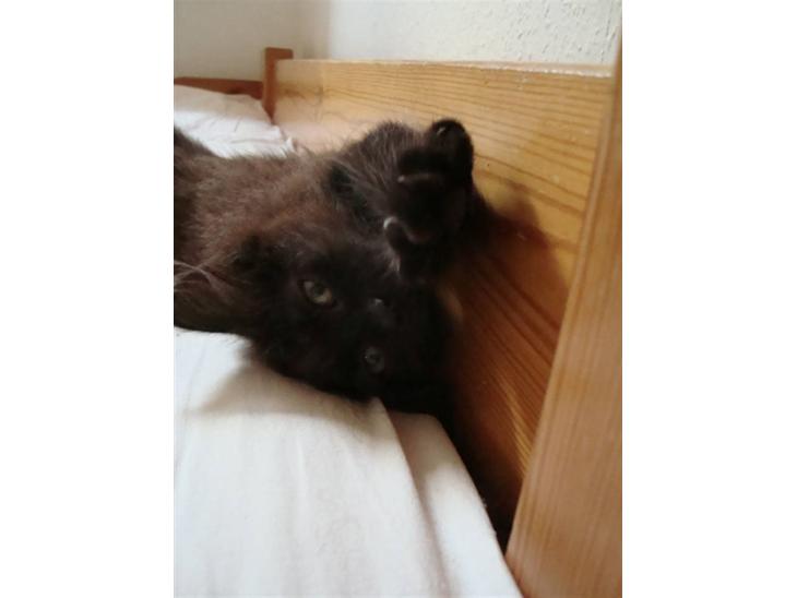 {{currentPhoto.altText}} billede {{currentPhoto.number}}