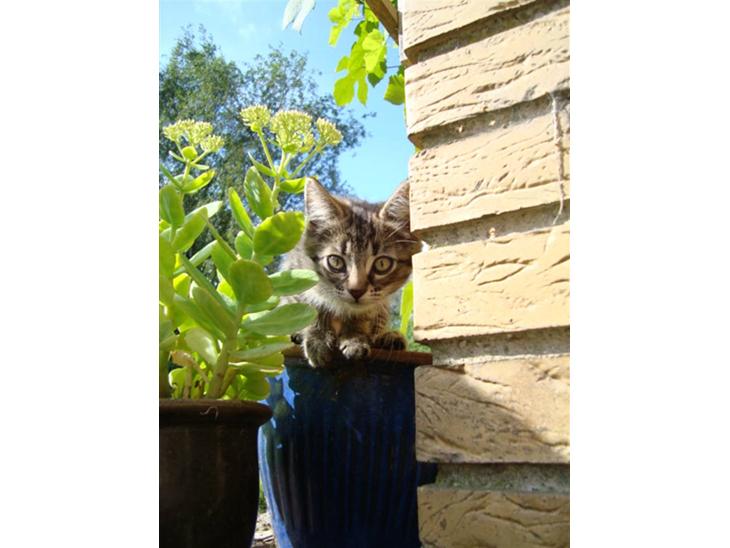 {{currentPhoto.altText}} billede {{currentPhoto.number}}