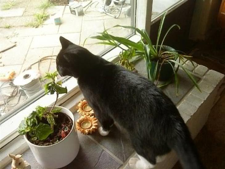 {{currentPhoto.altText}} billede {{currentPhoto.number}}