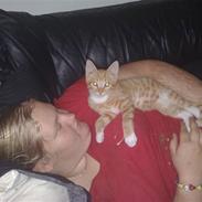 Blanding af racer Gustau *RIP*