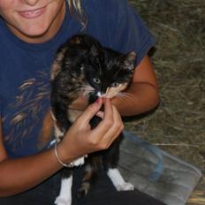 Blanding af racer Prinsesse Nala <3