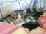 Huskat Lillemis savner dig ;,,( - <3<33<3<3<3<3<33<3<3<33<3<33<3<3<33<3<33<33 ever