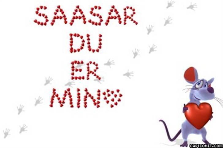 Huskat Sæsar billede 9