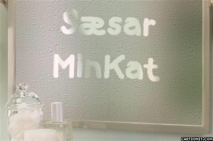 Huskat Sæsar billede 10