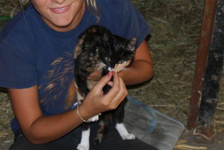 Blanding af racer Prinsesse Nala <3 billede 3