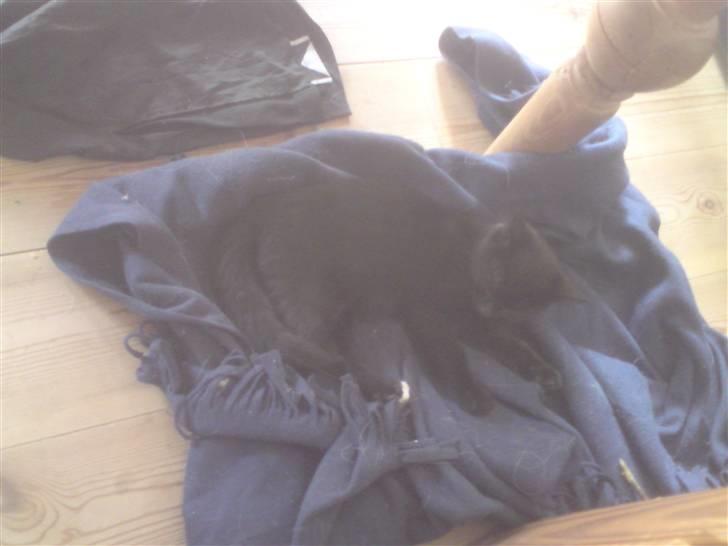 Huskat Coke billede 3