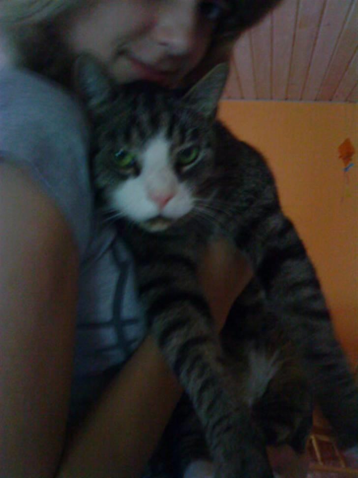 Huskat lill pjevs (julies) <3 billede 8