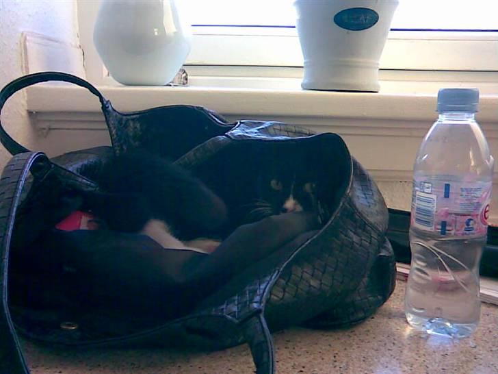 Huskat Jasmin -  ELSKER tasker!  billede 9