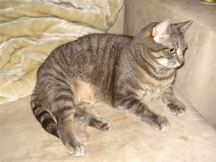 Huskat Hilda. R.I.P - <3 <3 billede 14