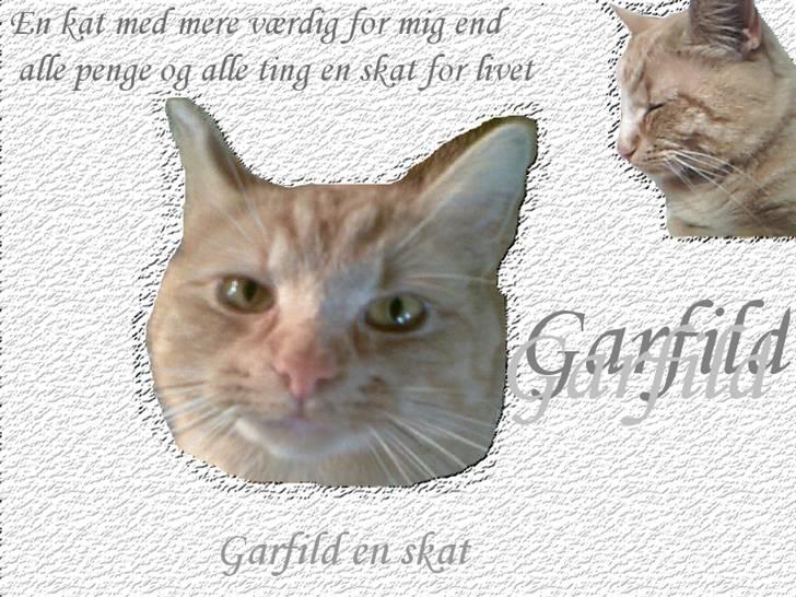 Huskat Garfild billede 14