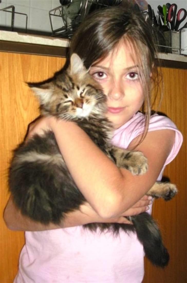 Blanding af racer Luffe billede 4