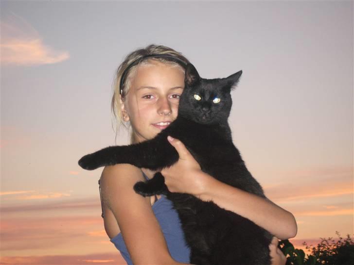 Huskat Mille <3 R.I.P - Velkommen til mille´s profil d; læg gerne en kommentar&bedømmelse(; <3 billede 1