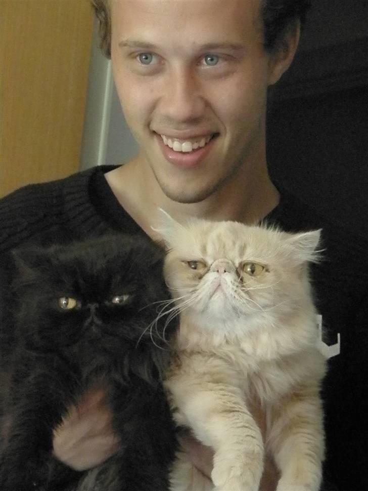 Perser Herlovinias Cornelia Baze - Baze, Kæresten og Bailey :) Mine 3 Guldklumper billede 15