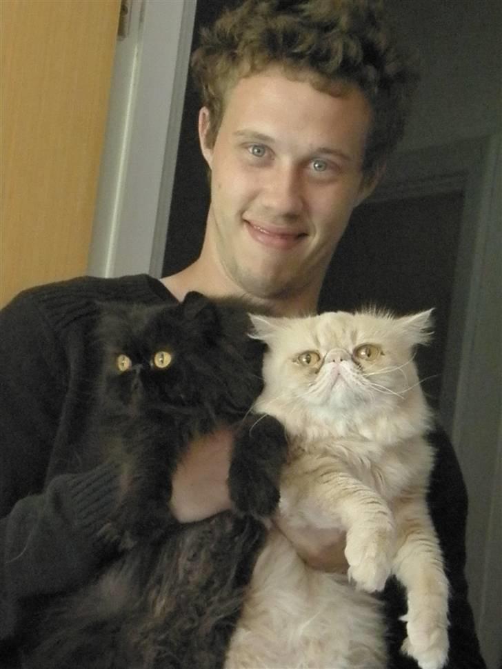 Perser Herlovinias Cornelia Baze - Baze, Kæresten og Bailey :) Mine 3 Guldklumper billede 16