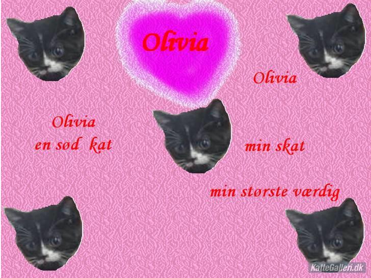 Huskat Olivia R.i.P. - et smukt billede jeg har fået lavet af min gode ven Annika m  billede 9