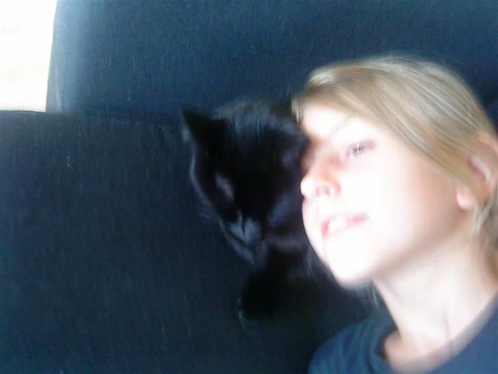 Huskat Mille <3 R.I.P - Mille&Mig d: billede 16