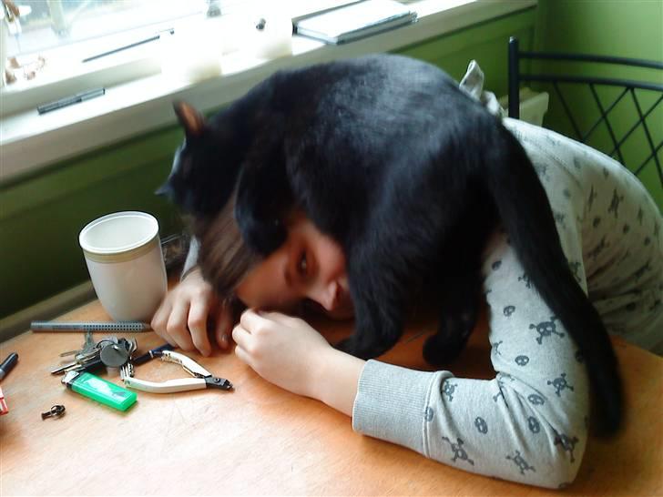 Huskat kelly - ja hun er også karlig<3<3<3<33333333333333333333333333333333333333333333 billede 3