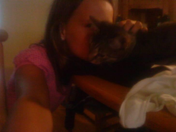 Huskat anton billede 6