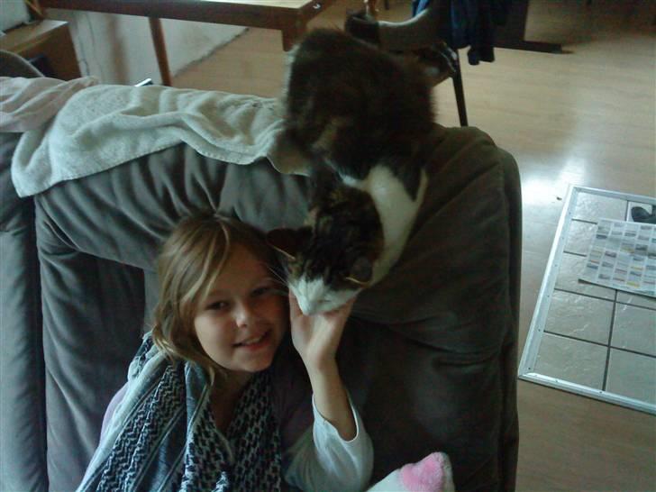 Huskat trille billede 5