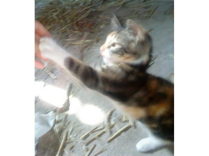 {{currentPhoto.altText}} billede {{currentPhoto.number}}