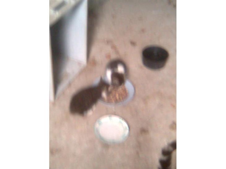 {{currentPhoto.altText}} billede {{currentPhoto.number}}