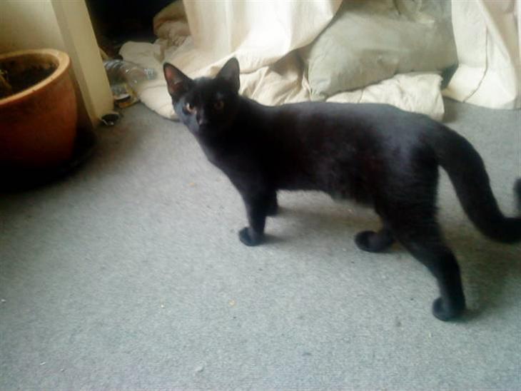 {{currentPhoto.altText}} billede {{currentPhoto.number}}