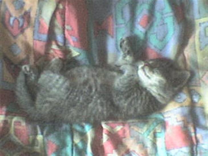 {{currentPhoto.altText}} billede {{currentPhoto.number}}