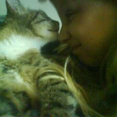 Blanding af racer Little *Min Elsked Mis*