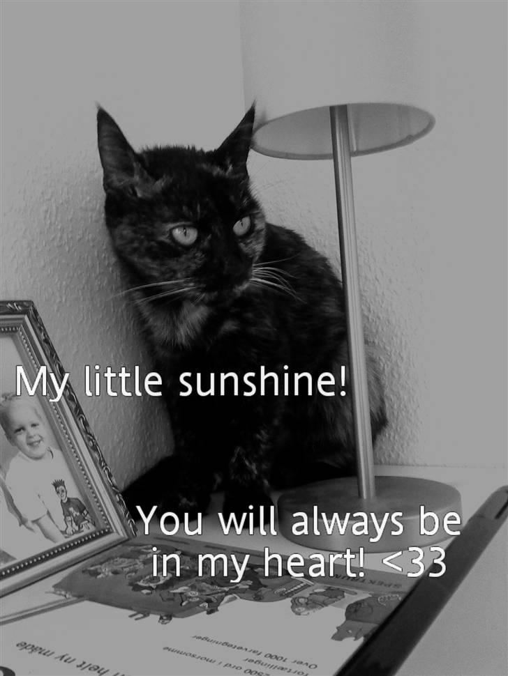 Huskat Lillemissen - Nurh! <33 billede 10